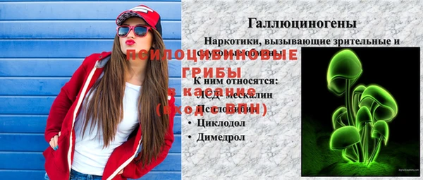 шишки Орск